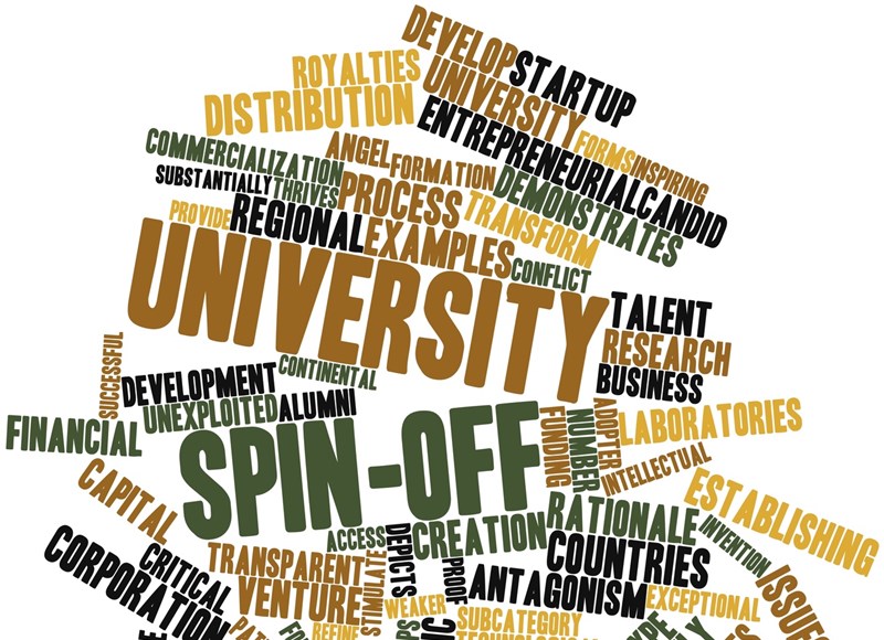 El desarrollo de Spin off en empresas