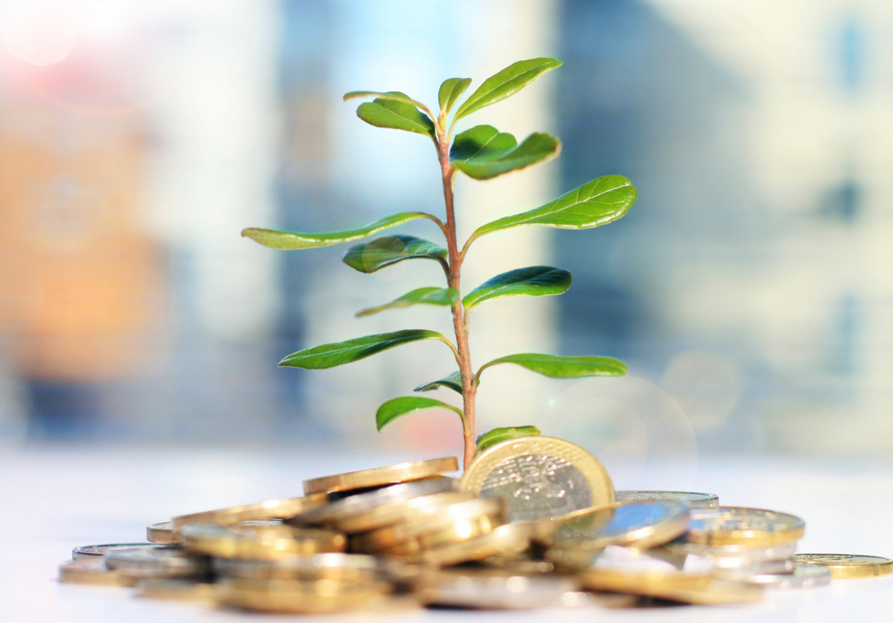 Haz crecer tu patrimonio a través de una inversión